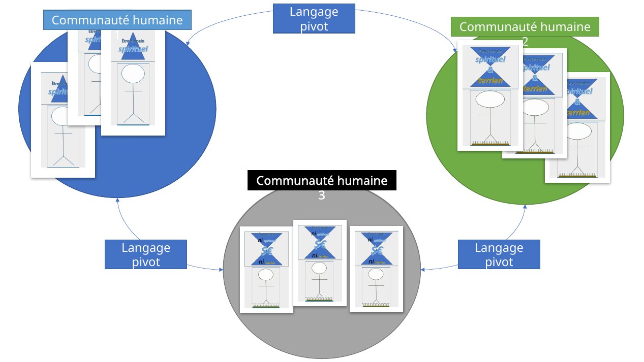 Triangle communautaire avec langages pivots